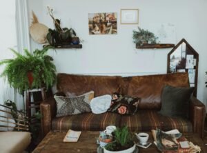 ozy living room with a leather sofa, indoor plants, and simple decor creating a comfortable home atmosphere