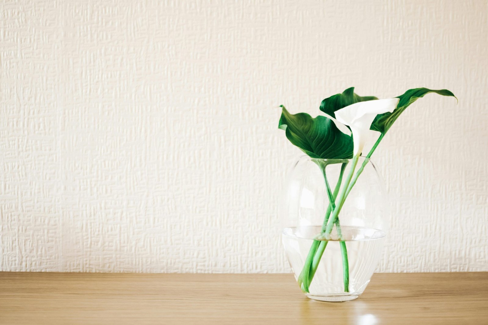 Clean and simple home interior with a flower vase showing calm everyday home care